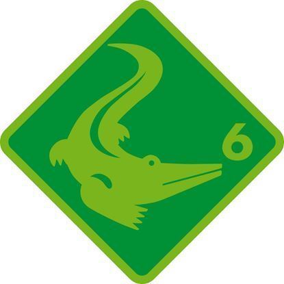 Bild von Basistest 6 Krokodil