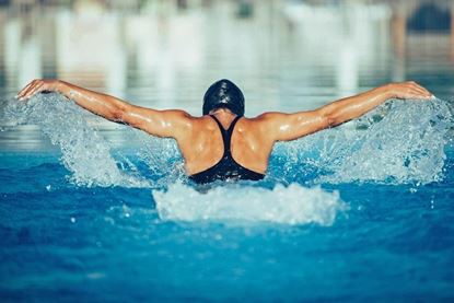 Bild von Lagenkurs für Erwachsene Schwimmer