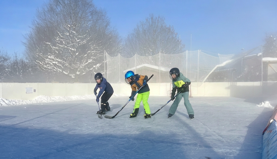 Bild von Eishockey-Abenteuer auf dem Eis